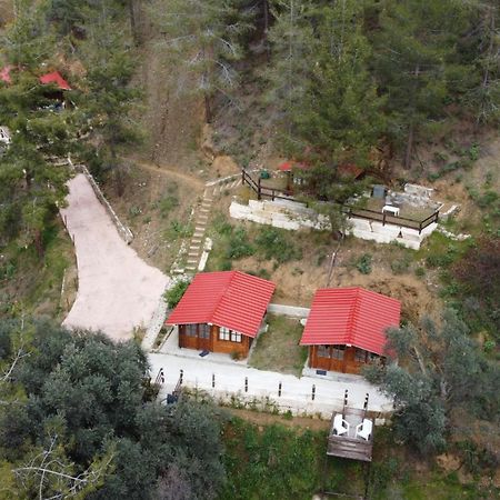Bosco Paradiso 레메소스 외부 사진