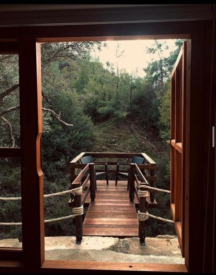 Bosco Paradiso 레메소스 외부 사진