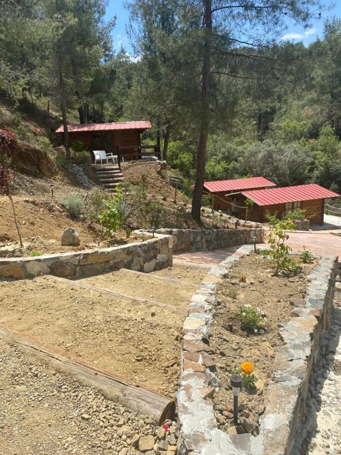 Bosco Paradiso 레메소스 외부 사진