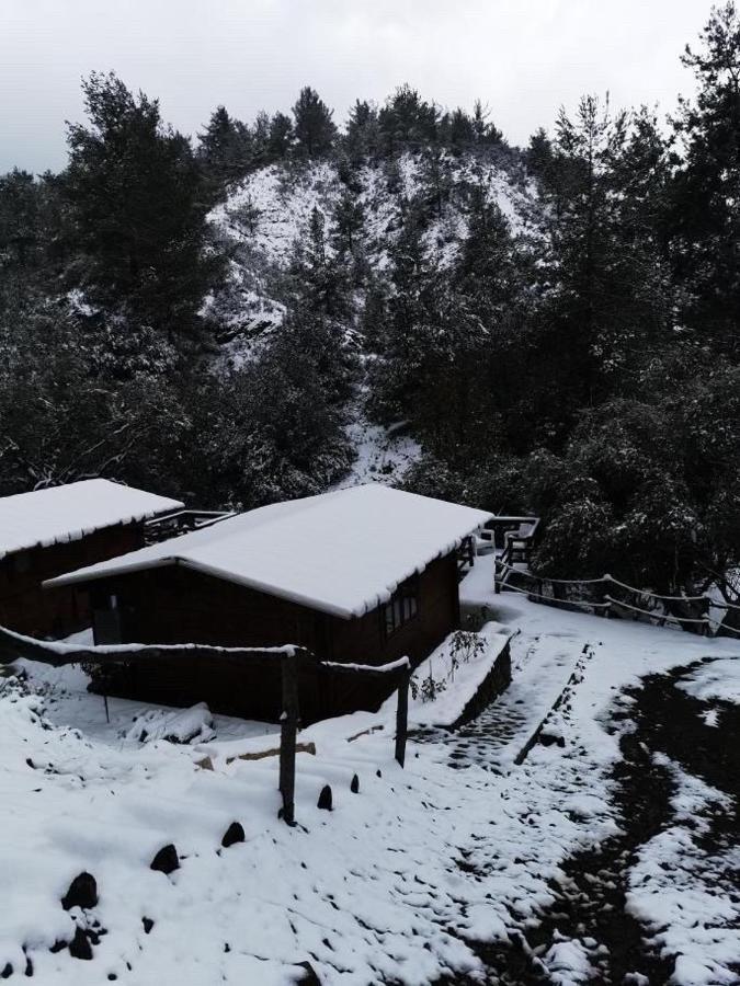 Bosco Paradiso 레메소스 외부 사진
