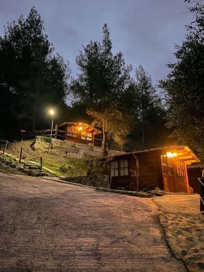 Bosco Paradiso 레메소스 외부 사진